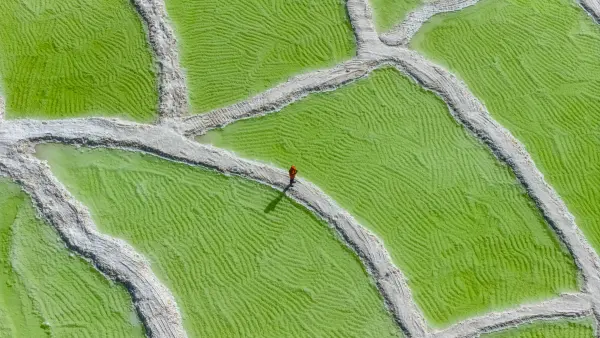 DJI_20250823171628_0147_D