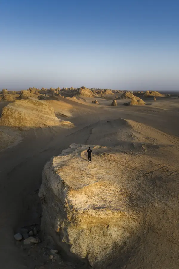 DJI_20250823201223_0167_D