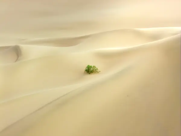 DJI_20250826194608_0246_D